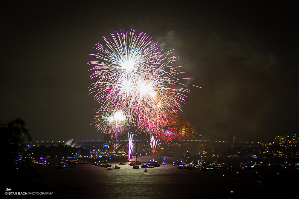 distan bach-Sydney NYE-Fireworks-3